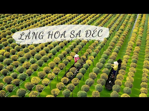Video Làng hoa Sa Đéc | VTV4 - youtube