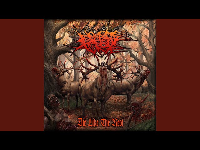 No One Gets Out Alive - 5 String Apokalypse