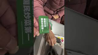 Disposable 100%FSC  Flag picks  #factory #flagpicks #FSC #Print #Customizeddesign