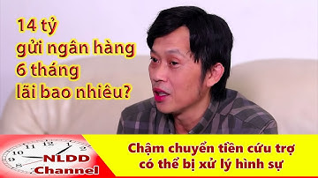 [ Thời sự ] Chậm chuyển tiền cứu trợ có thể bị xử lý hình sự? NS Hoài Linh làm gì với tiền cứu trợ?