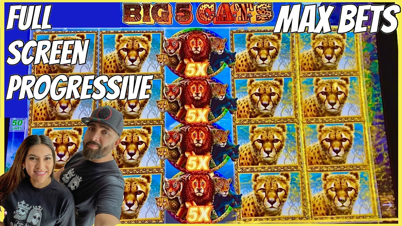 🦁 BIG 5 CAT SLOT MACHINE PROGRESSIVES💲 HARD SPA AND SALON AT HARD ROCK