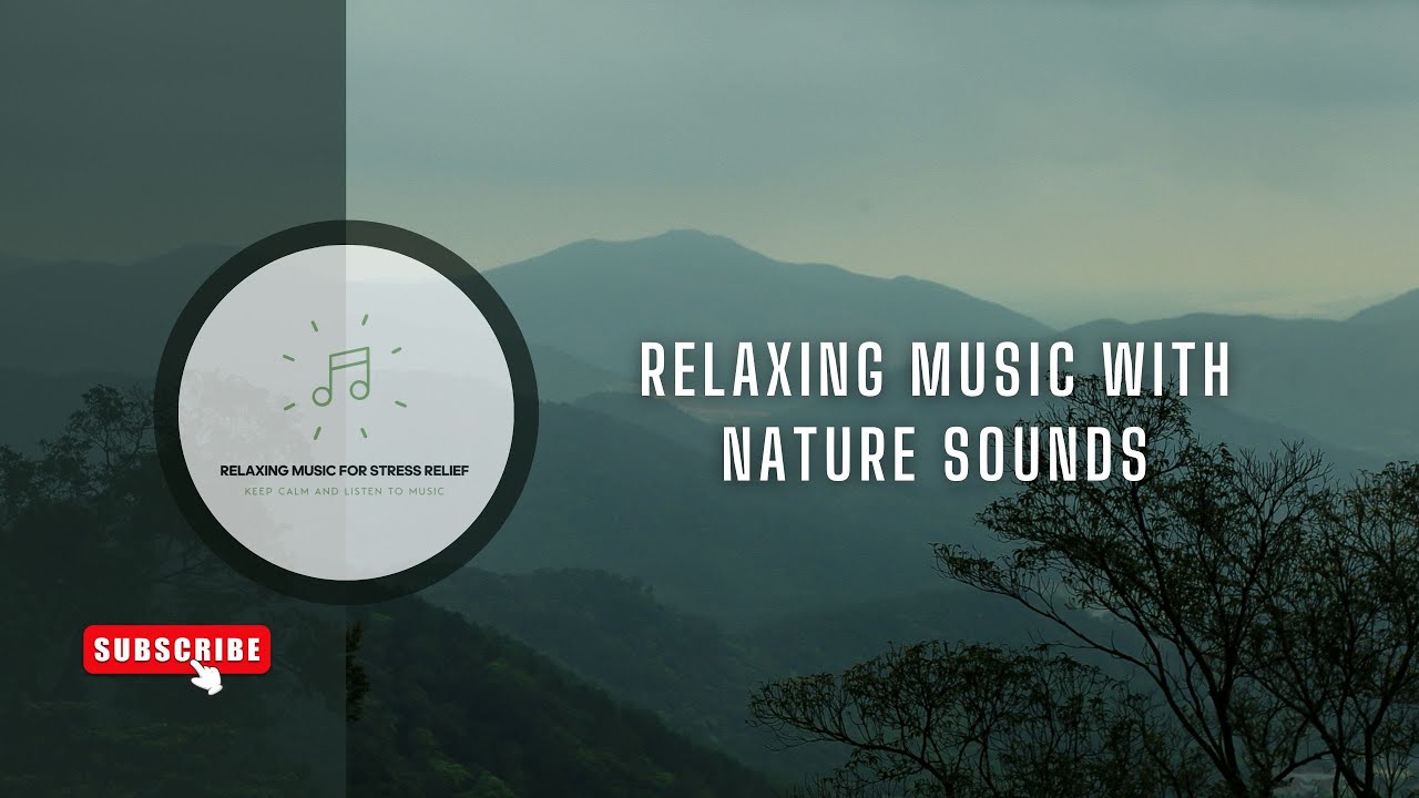 Relaxing Music With Nature Sounds | Forest Music, Sleep Music ...