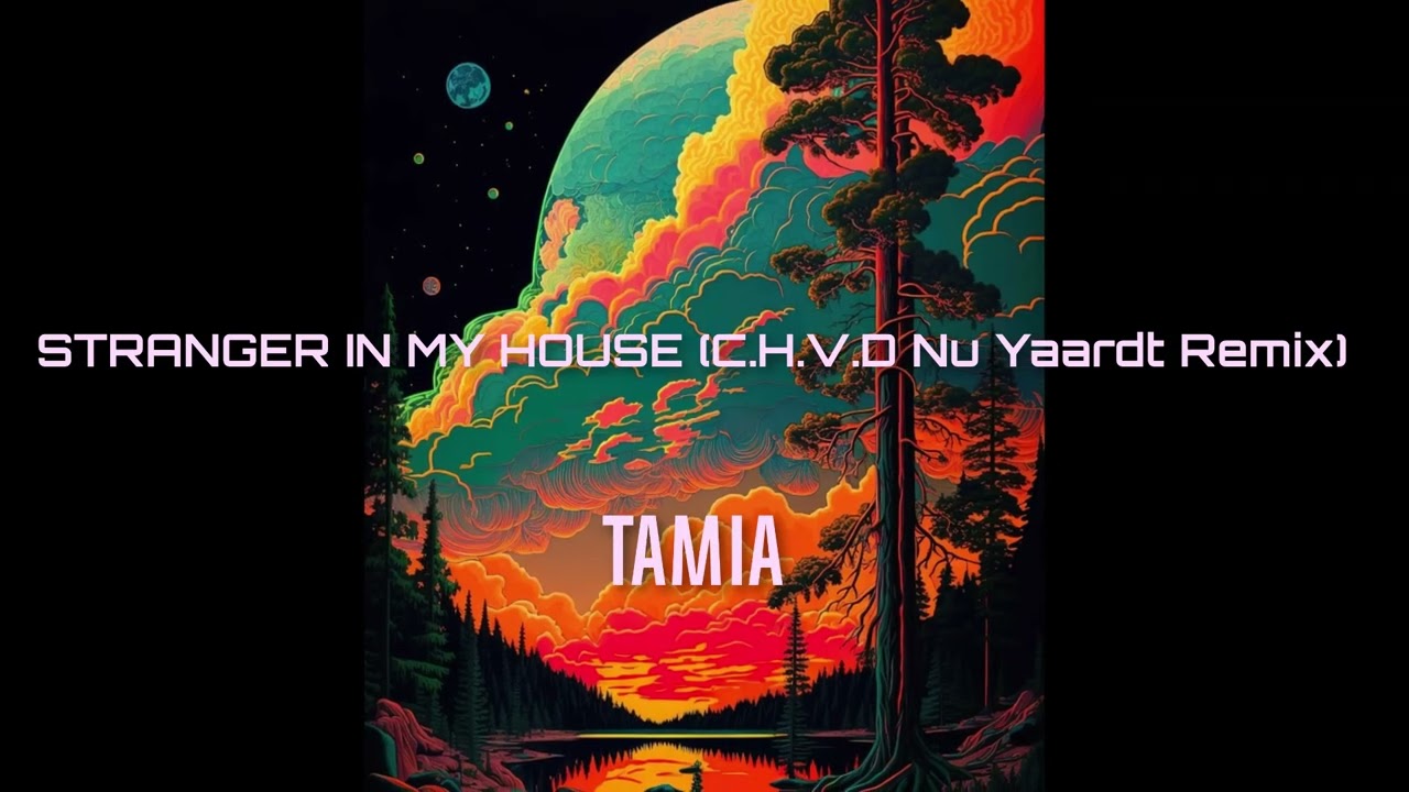 Tamia - Stranger in my house (C.H.V.D Nu Yaardt Remix)