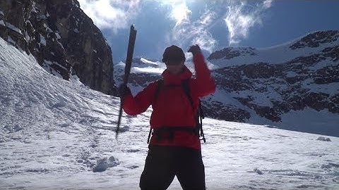 To Pole Or Not To Pole - Joey