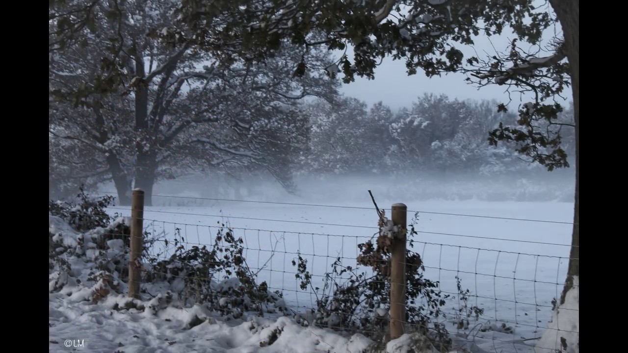 SEASONS - YouTube