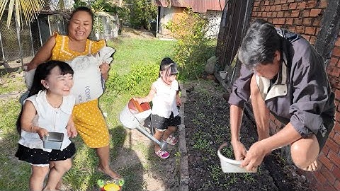 Khó Khăn Khi Tưới Rau Và Cuộc Sống Hằng Ngày Ở Quê Cùng 2 Chị Dâu. || Ut Mini. 