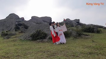 Cây Sim Rừng Rất Nhiều Và Đẹp Đan Nở Hoa Tại Khu Du Lịch Đồng Cao Sơn Động Bắc Giang