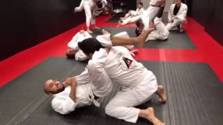 Mannequin Challenge Accepted! (BJJ) Marcus Aurelio Jiu-Jitsu Academy 👏🤘😂