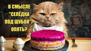 Ах, "СЕЛЁДКА ПОД ШУБОЙ", как же тебя не любить! Основные правила!