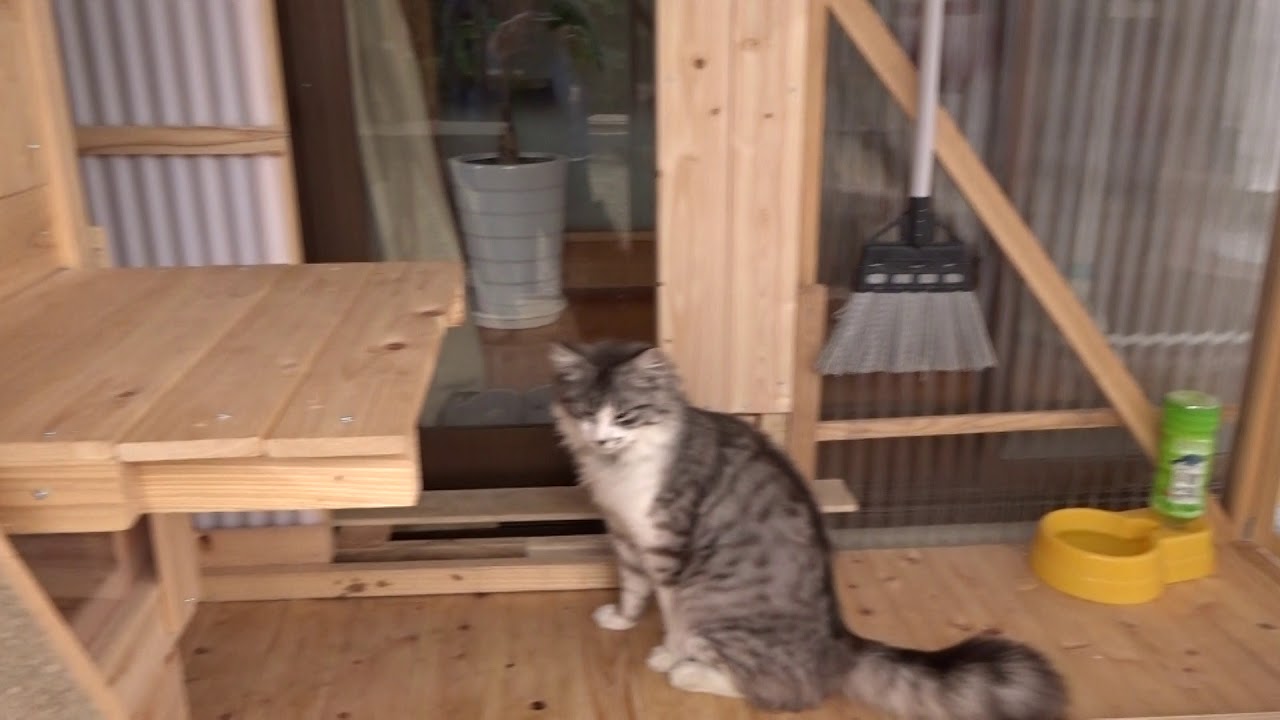 猫小屋 手作り屋外用 その１ Youtube