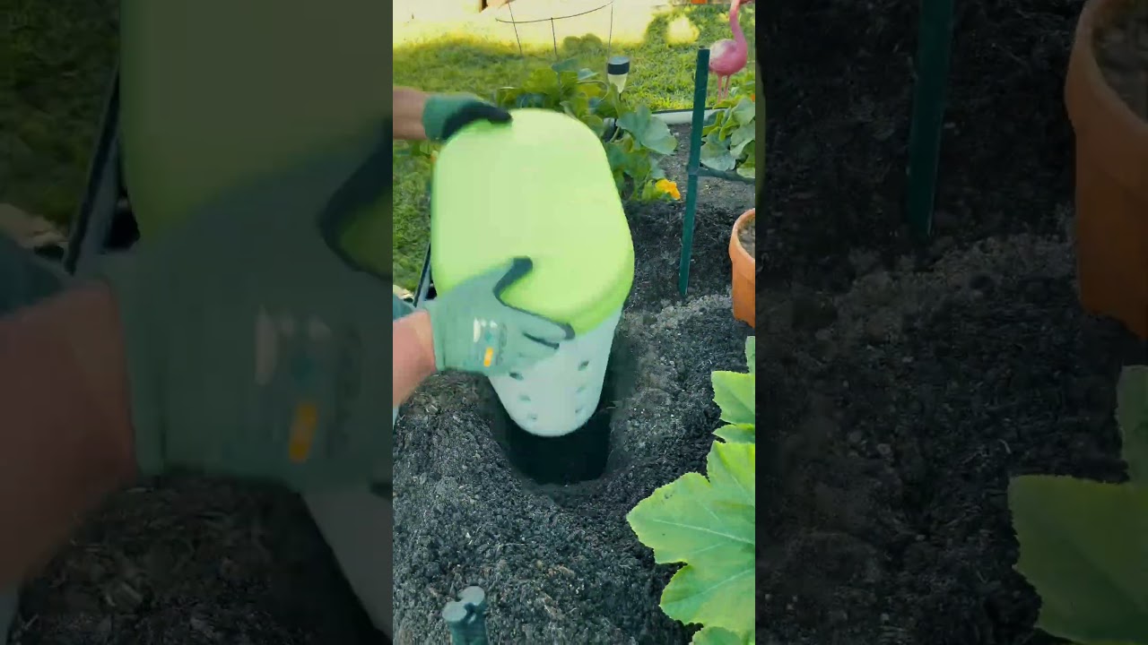 Installing a Worm Composting Bin in my Vego Raised Bed!