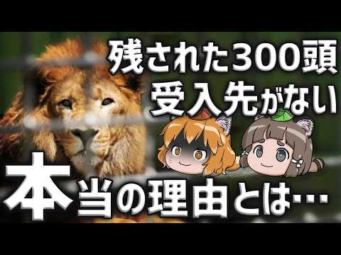 【不安】残り300頭…閉園した動物園の受入先がない本当の理由【ノースサファリサッポロ】
