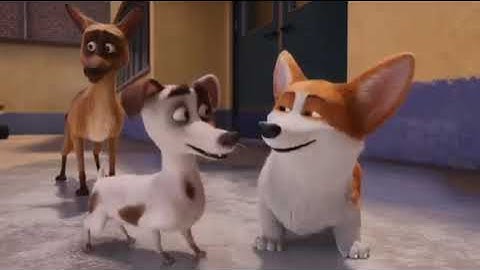 ロイヤルコーギー　レックスの大冒険　DVDリリース予告編