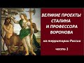 Великие проекты Сталина и профессора Воронова, часть 1  № 2518