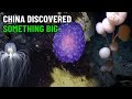 China&#39;s Biggest Discoveries In The Mariana Trench! Many Experts Can&#39;t Believe