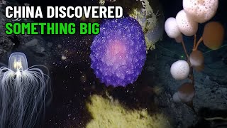 China&#39;s Biggest Discoveries In The Mariana Trench! Many Experts Can&#39;t Believe