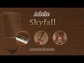 Skyfall  adele acoustic karaoke