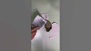 WATCH TILL THE END #LIFEHACKS #LIFETIPS #LIFETRICKS #TIPSTRICKS