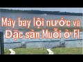 Máy bay lội nước và đặc sản MUỖI ở Florida (Cuộc sống Mỹ - Vlog 305)