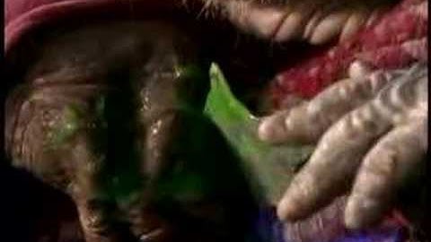 Trigger Happy - Farscape