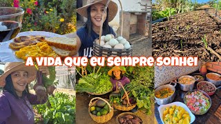 Dia muito produtivo | acordei cedo pra cuidar de tudo | colheita na horta e pomar| almoço rápido e +