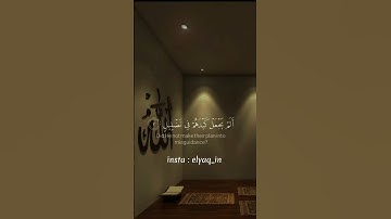 سورة الفيل{ماهر المعيقلي }[أَلَمۡ تَرَ كَيۡفَ فَعَلَ رَبُّكَ بِأَصۡحَٰبِ ٱلۡفِيلِ (1) ............]