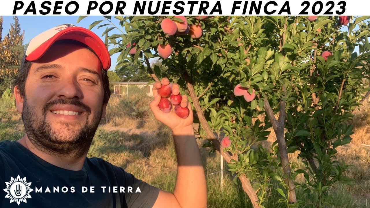 PASEO POR NUESTRA FINCA 2023 | LA VIDA EN EL CAMPO 🌻👨🏻‍🌾👩🏽‍🌾🌳🍑