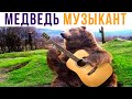 МЕДВЕДЬ МУЗЫКАНТ))) Приколы | Мемозг #555