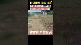 상세설명 ▶️바다코앞 토지 강화도토지 #shorts