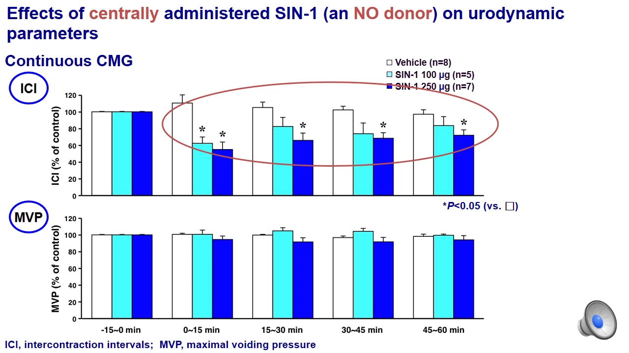 278 Nitric oxide centrally induces facilitation of the rat micturition