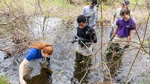 Mayfly water quality sensor installation