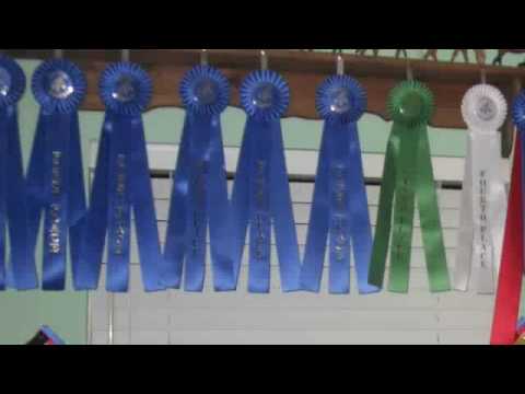 Contest Entry Ribbon Ribbon Contest Entry - YouTube