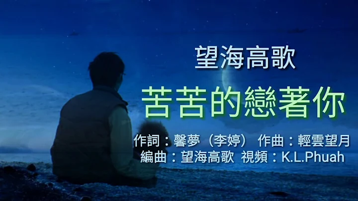 《 苦苦的恋着你 》演唱：望海高歌 - 天天要闻