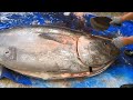 560 lb Giant Tuna Cutting Show & Sashimi - TAIWAN street food