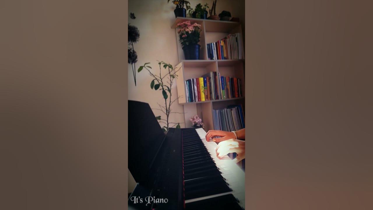 Evgeny Grinko - Field | Piano cover | Relaxing Piano #shorts