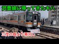 【レア幕多数】武豊に帰ってきたキハ75系 幕回し大会