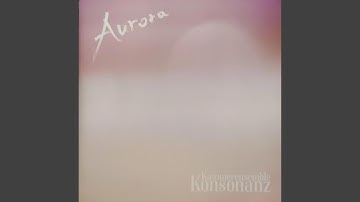 Carl Nielsen: Little Suite for Strings Op.1 - III. Finale