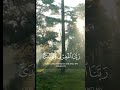 المنشاوي تلاوات حالات واتس تيك توك Trending Tiktok 