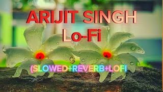 Arijit Singh Lofi Song Slowedreverblofi Saiful-Official 02- 2024 Mix 2024 Niw Song 