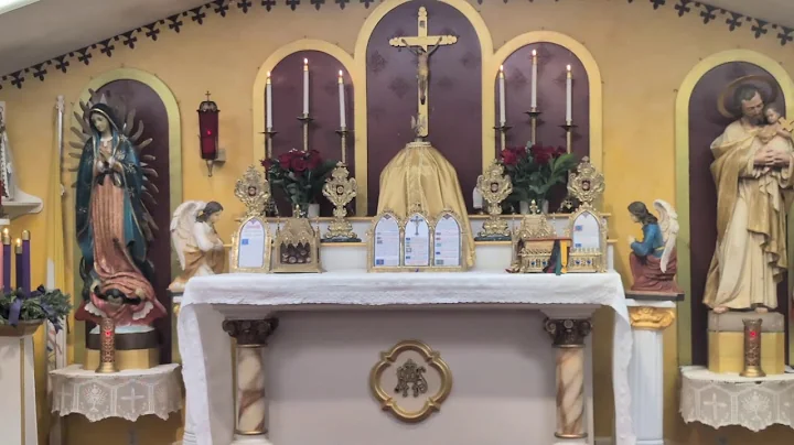 Live: Mass Feast Of The immaculate Conception Dec. 8th, 2025