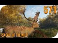 The hunter call of the wild 571  hirschfelden unsere heimat   pantoffelplays