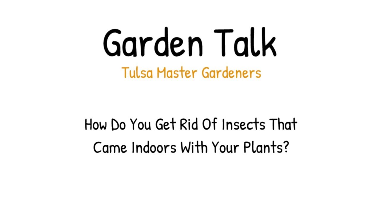 bringing plants indoors this winter