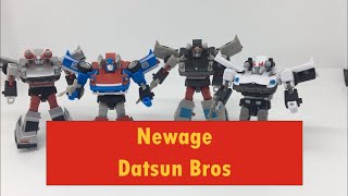 Newage Datsun Brothers (Legends Scale) - An Overview!