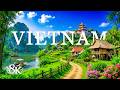 Wonders of Vietnam 8K UHD – Emerald Rivers, Limestone Mountains &amp; Timeless Nature Beauty