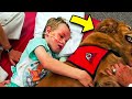 Sick Boy Says &#39;Goodbye&#39; To Dog, But A Miracle Happens When The Dog Lays Next To Him...