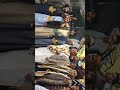 افراح ال عيضه اب الشعر الزبير حسني عيضه