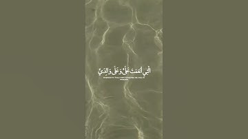 (رَبِّ أَوْزِعْنِي أَنْ أَشْكُرَ نِعْمَتَكَ الَّتِي أَنْعَمْتَ عَلَيَّ )القارئ إسلام صبحي🤍🎧.