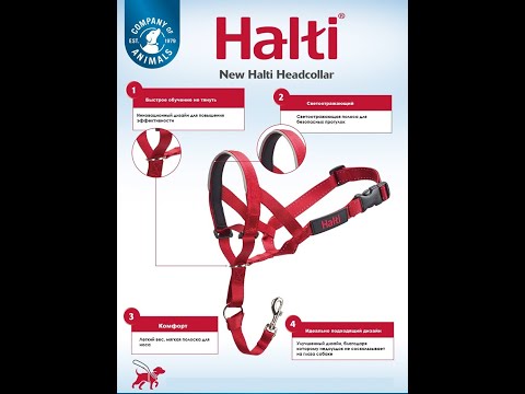 Недоуздок для собак Halti Headcollar