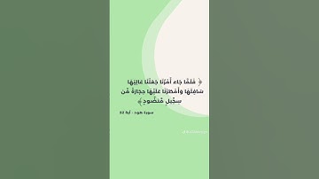 سورة هود ، فلما جاء أمرنا ، #عبارات #اكسبلور #اقنباسات #قرآن #لايك #ترند #المصحف #راحة_نفسية