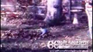 Alex's Baptism, Flim Flam Man, Fall 1979